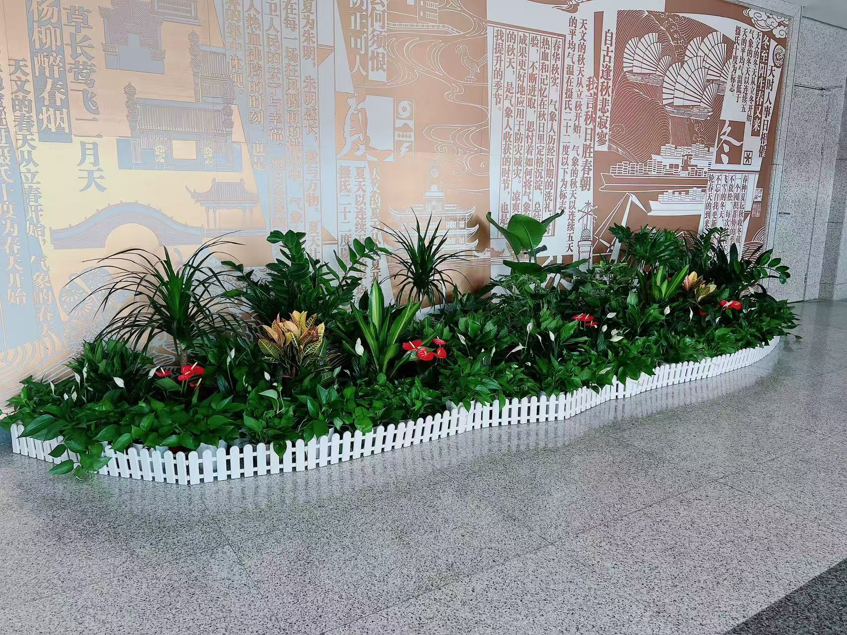 海曙植物出租价格实惠